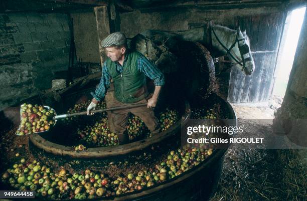 Pression à cheval de 1870, processus de distillation. Le Calvados est un pays de pommiers, dont les pommes servent à l'élaboration du cidre et du...