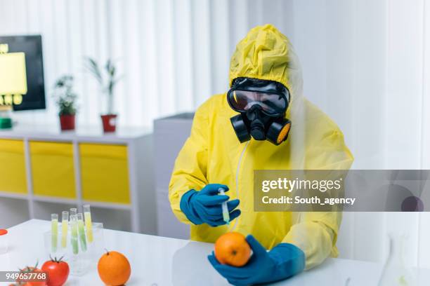 scientist conducts experiments on a orange in laboratory - dna orange imagens e fotografias de stock