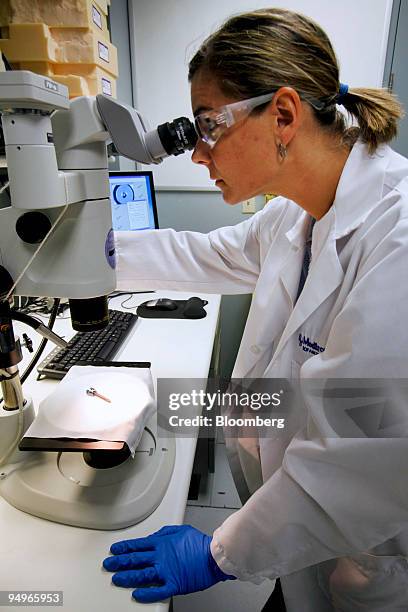 Laboratory Of Biomechanics Photos and Premium High Res Pictures - Getty ...