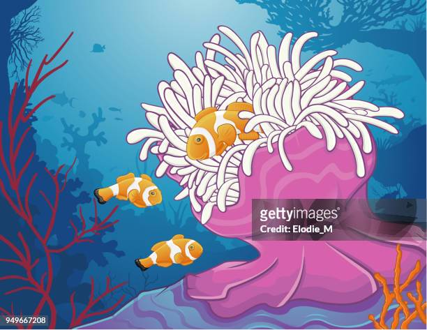 bildbanksillustrationer, clip art samt tecknat material och ikoner med havsanemon/anémone de mer - blue anemone
