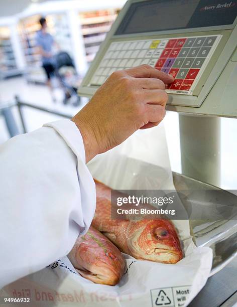 Fresh Fish Inflation Rose Fish Photos and Premium High Res Pictures - Getty Images