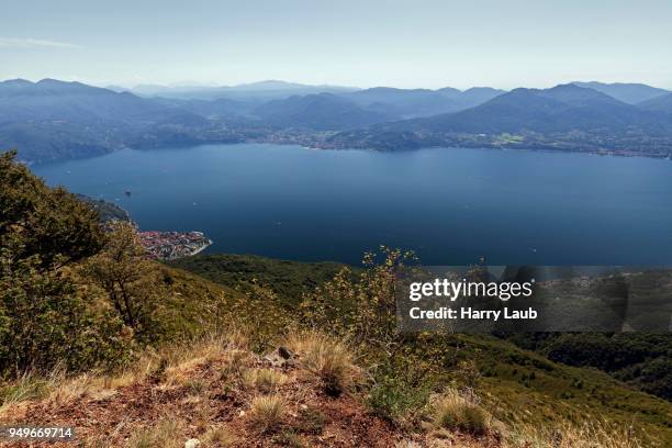 view from monte morissolo on lago maggiore, cannero riviera, verbano-cusio-ossola province, piedmont region, italy - province of verbano cusio ossola ストックフォトと画像