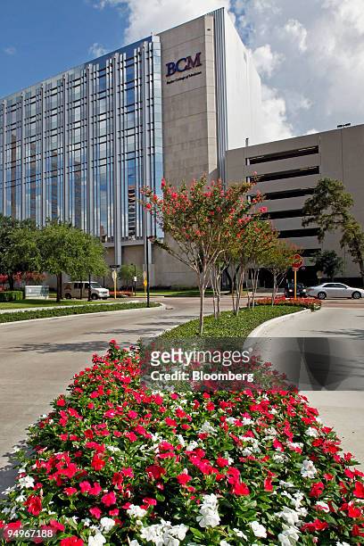 Flowers line a path to the Baylor College of Medicine in Houston, Texas, U.S., on Friday, Aug. 21, 2009. Rice University President David Leebron said...
