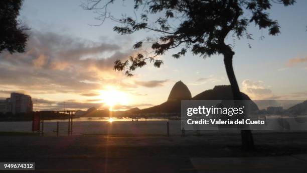 the cove of botafogo and the sun rising behind the sugar loaf mountain in urca - valeria del cueto stock pictures, royalty-free photos & images