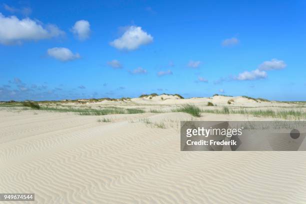 dune landscape with wavelike structure in white sand, ripple, norderney, east frisian islands, north sea, lower saxony, germany - sable ondulé photos et images de collection