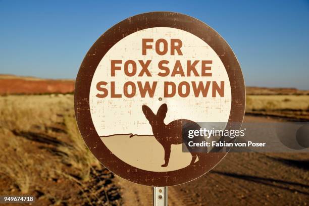 sign caution bat-eared foxes (otocyon megalotis), gondwana namib park, near sesriem, hardap region, namibia - deer crossing stock pictures, royalty-free photos & images