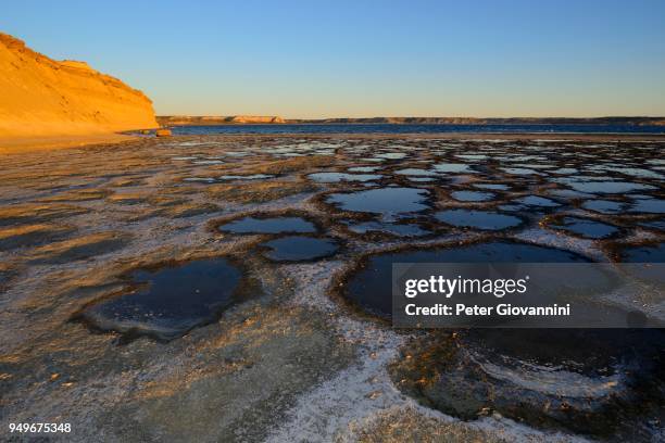 evening sun at v, peninsula valdes, province of chubut, patagonia, argentina - chubut province ストックフォトと画像