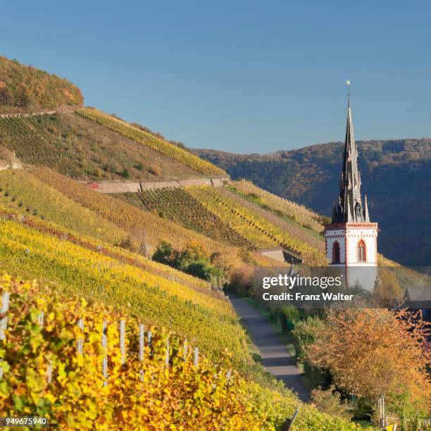 Ediger Germany 20 Ediger Eller Stock Photos, High-Res Pictures, and Images - Getty Images