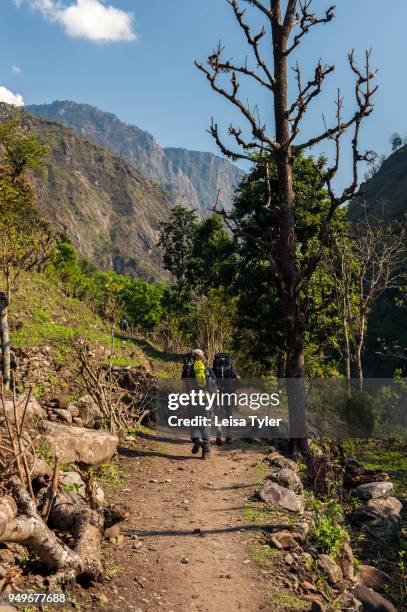 Trekkers on the Manaslu Circuit three days walking from the trailhead at Arugath Bazaar. The 16-day Manaslu Circuit is part of the Great Himalaya...