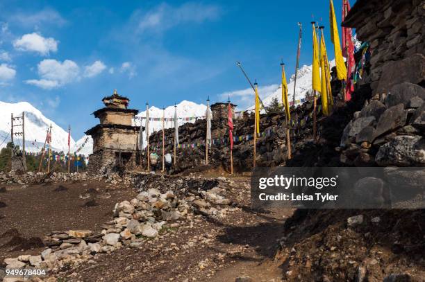 Mani wall on the way to Lho village on the Manaslu Circuit, 7 days from the trailhead at Arughat Bazaar. The 16-day Manaslu Circuit is part of the...