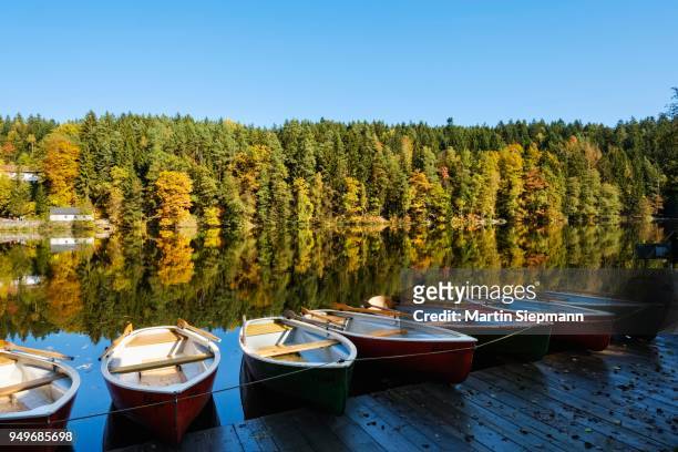 rowing boats, hoellensteinsee, near viechtach, bavarian forest, upper palatinate, bavaria, germany - nationalpark bayerischer wald stock-fotos und bilder