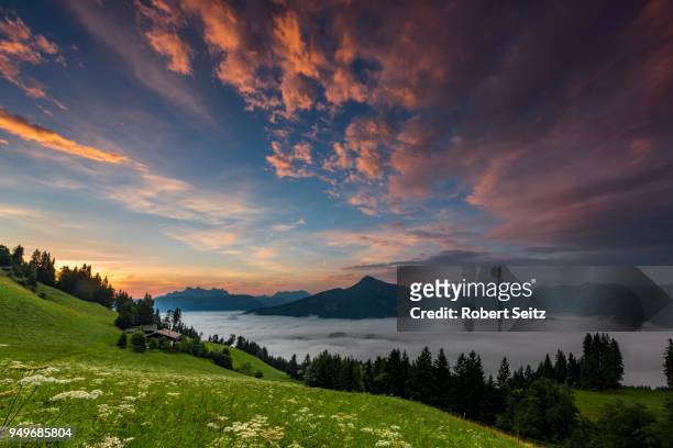 mountain meadow with mountain top with sea of fog at sunrise, wilder kaiser, scheffau, tyrol, austria - kaiser fotografías e imágenes de stock