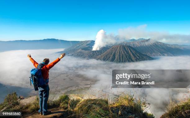 young man with raised arms in front of volcanic landscape, view in tengger caldera, smoking volcano gunung bromo, in front mt. batok, in the back mt. kursi, mt. gunung semeru, national park bromo-tengger-semeru, java, indonesia - mt semeru stock-fotos und bilder