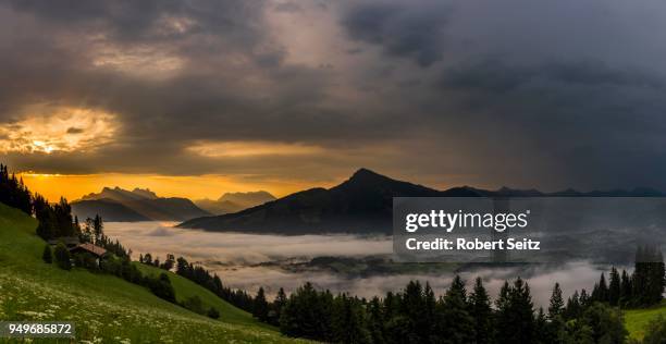 mountain meadow with mountain top with sea of fog at sunrise, wilder kaiser, scheffau, tyrol, austria - kaiser fotografías e imágenes de stock