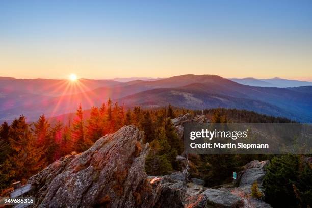 sunrise, grosser osser near lam, kuenisches gebirge, bavarian forest, upper palatinate, bavaria, germany - gebirge stock pictures, royalty-free photos & images