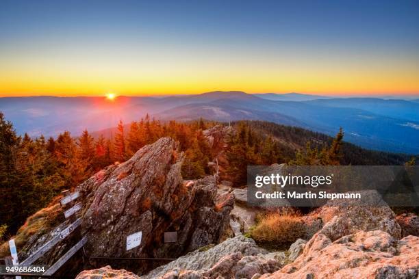 sunrise, grosser osser near lam, kuenisches gebirge, bavarian forest, upper palatinate, bavaria, germany - gebirge stock pictures, royalty-free photos & images