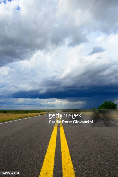 view over the asphalt of the ruta rn35 with dark rain clouds, province of la pampa, patagonia, argentina - pampa argentine ストックフォトと画像
