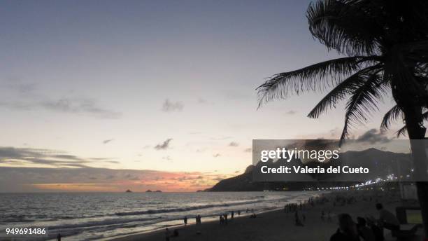from arpoador´s edge the sunset framed by palm trees - valeria del cueto stock pictures, royalty-free photos & images