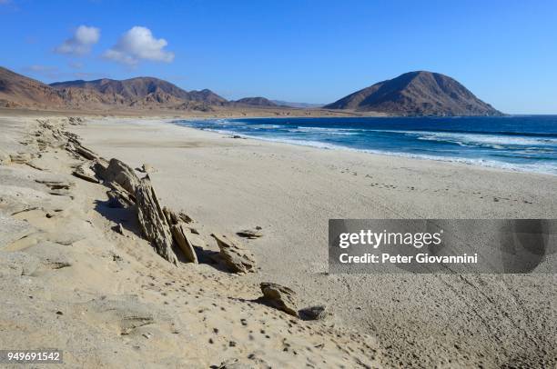 lonely sandy beach on the pacific ocean, pan de azucar national park, near chanaral, region de atacama, chile - azucar bildbanksfoton och bilder