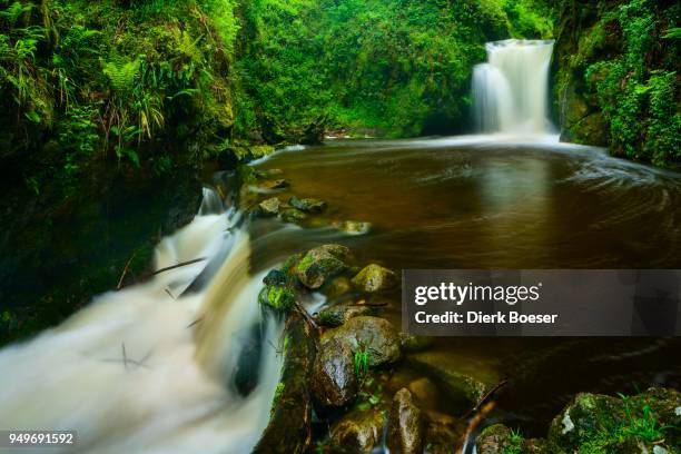 geroldsauer wasserfall, waterfall, schwarzwald, baden-baden, baden-wuerttemberg, germany - wasserfall stock pictures, royalty-free photos & images