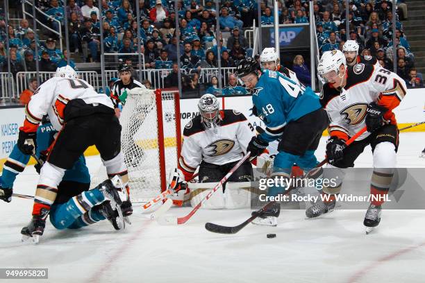 John Gibson and Jakob Silfverberg of the Anaheim Ducks defend the net against Tomas Hertl of the San Jose Sharks in Game Three of the Western...