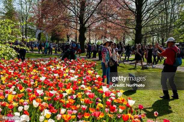 April 21st, Lisse. Keukenhof is also known as the Garden of Europe one of the world's largest flower gardens and is situated in Lisse, The...