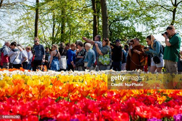 April 21st, Lisse. Keukenhof is also known as the Garden of Europe one of the world's largest flower gardens and is situated in Lisse, The...