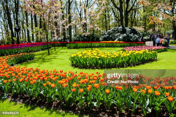 April 21st, Lisse. Keukenhof is also known as the Garden of Europe one of the world's largest flower gardens and is situated in Lisse, The...