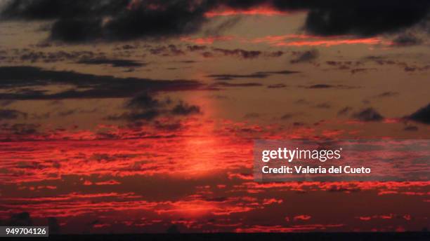 red sky - valeria del cueto stock pictures, royalty-free photos & images