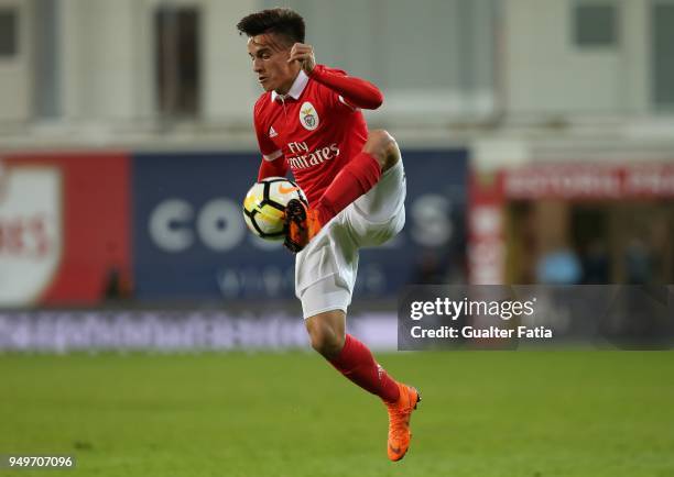 Benfica forward Franco Cervi from Argentina in action during the Primeira Liga match between GD Estoril Praia and SL Benfica at Estadio Antonio...