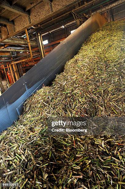 Sugar cane is unloaded from a bin at Bundaberg Sugar's Millaquin Mill in Bundaberg, Queensland, Australia, on Friday, Aug. 14, 2009. The 86 percent...