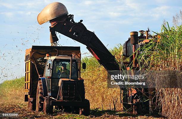 Sugar cane is harvested on a farm in Bundaberg, Queensland, Australia, on Friday, Aug. 14, 2009. The 86 percent surge in sugar prices this year will...