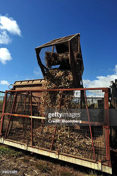 Bin containing harvested sugar cane is emptied into a cane wagon on a rail line in Bundaberg, Queensland, Australia, on Thursday, Aug. 14, 2009. The...