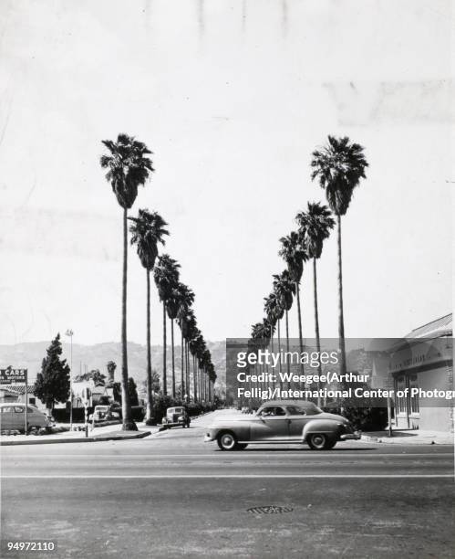 Landscape of the corner of two streets, one is lined with palm trees, featuring cars, houses, and a restaurant, Los Angeles, CA, 1950s.