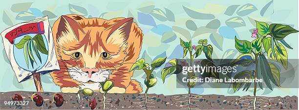 bildbanksillustrationer, clip art samt tecknat material och ikoner med watching the garden grow. - spräcklig katt