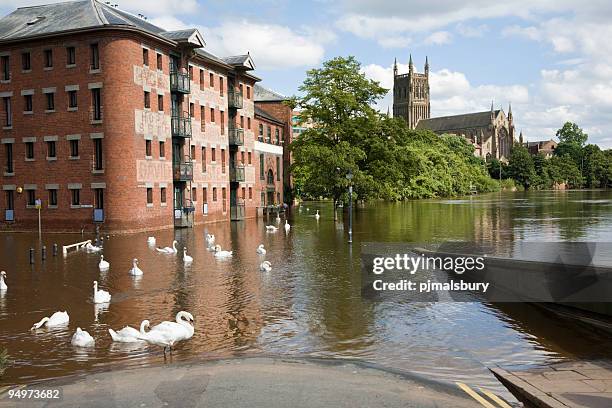 flooded river severn at worcester - severn river stock pictures, royalty-free photos & images