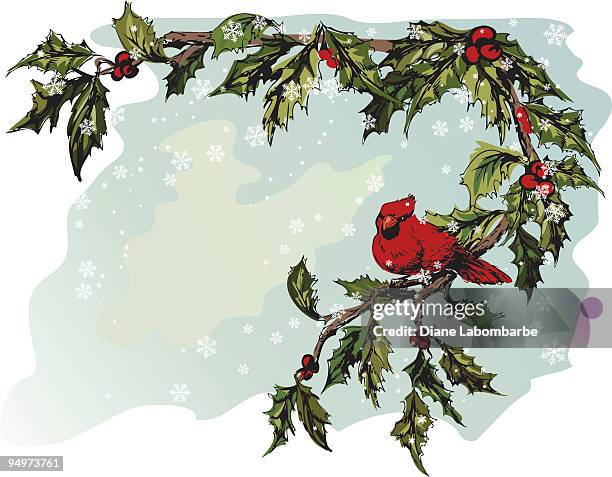 hand drawn christmas cardinal illustration - cardinal snow stock illustrations