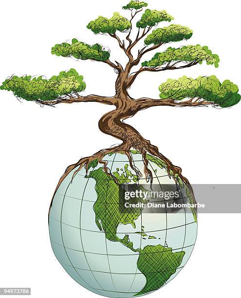 environmental awareness - bonsai tree growing on top of globe - tree root sketch stock illustrations
