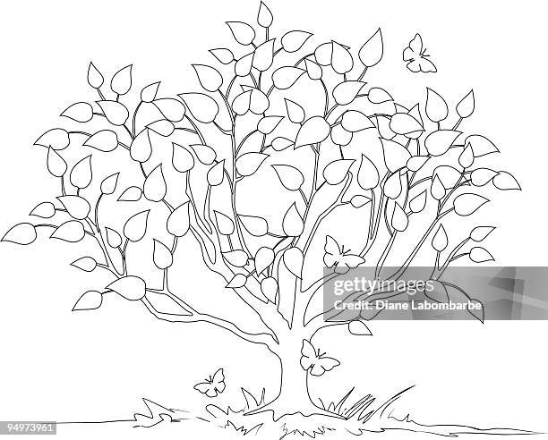 410 Tree Line Drawing Stock Photos, High-Res Pictures, and Images ...