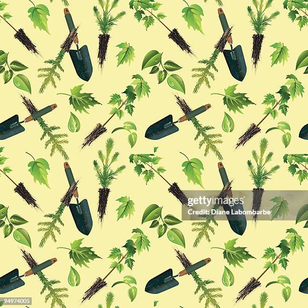 arbor day repeat pattern - pine seedling stock illustrations