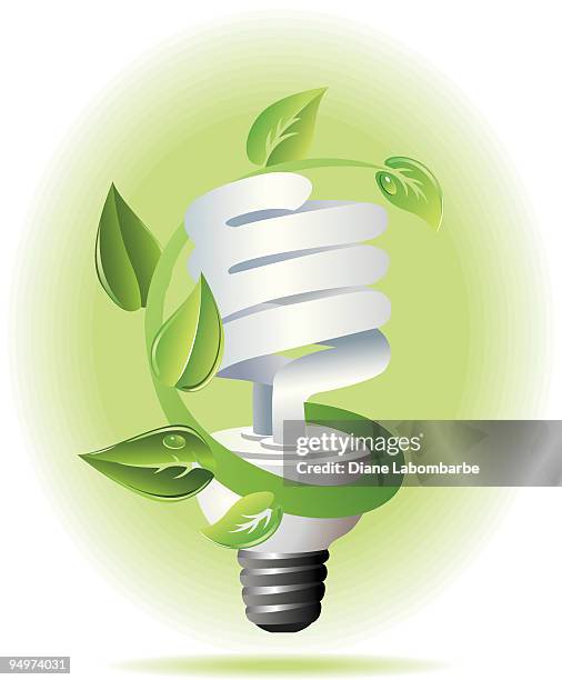 39 Compact Fluorescent Bulbs Illustrations - Getty Images