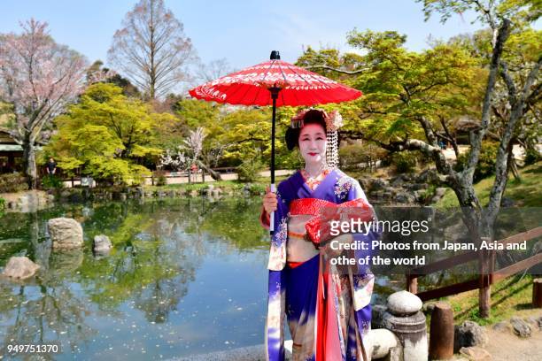 japanese woman in maiko’s costume and hairstyle enjoying kyoto’s spring - geisha stock-fotos und bilder