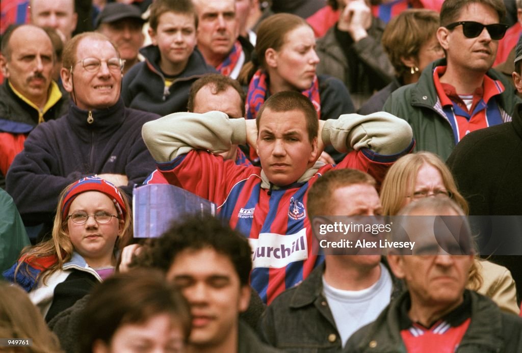 Crystal Palace fans