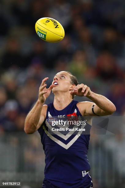 Nathan Fyfe of the Dockers looks to mark the ball during the round five AFL match between the Fremantle Dockers and the Western Bulldogs at Optus...