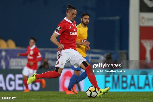 Benfica midfielder Ljubomir Fejsa from Serbia in action during the Primeira Liga match between GD Estoril Praia and SL Benfica at Estadio Antonio...