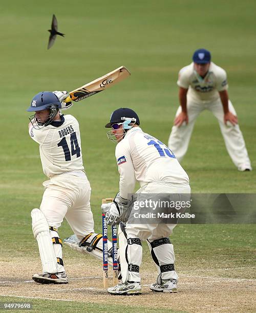 Chris Rogers of the Bushrangers plays a ball square during day four of the Sheffield Shield match between the New South Wales Blues and the Victorian...
