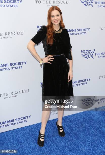 Kristin Bauer van Straten attends The Humane Society of The United States' to The Rescue! Los Angeles Gala held at Paramount Studios on April 21,...