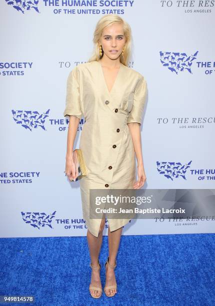 Isabel Lucas attends The Humane Society of The United States' to The Rescue! Los Angeles gala held at Paramount Studios on April 21, 2018 in Los...