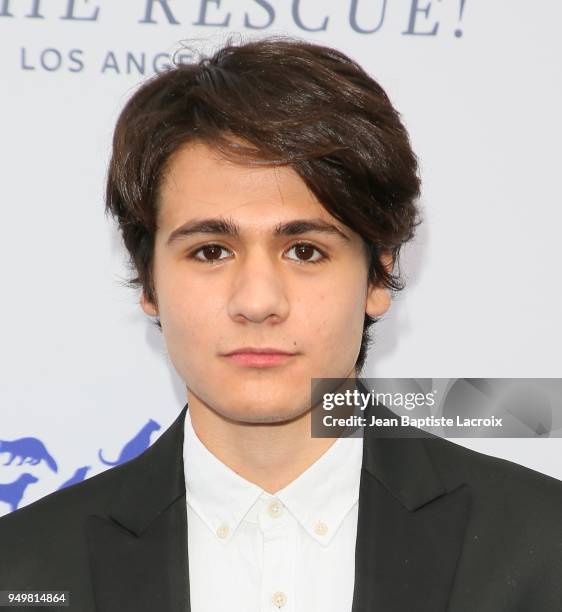 Diego Josef attends The Humane Society of The United States' to The Rescue! Los Angeles gala held at Paramount Studios on April 21, 2018 in Los...