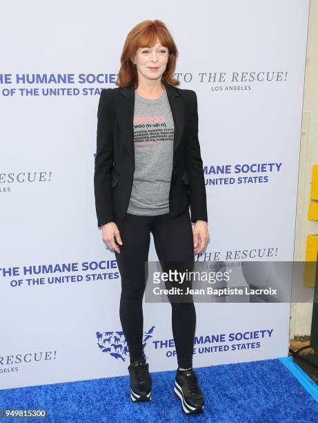Frances Fisher attends The Humane Society of The United States' to The Rescue! Los Angeles gala held at Paramount Studios on April 21, 2018 in Los...